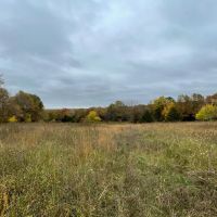 Camden County 87 Acres Hunters Paradise images 3