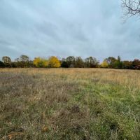 Camden County 87 Acres Hunters Paradise images 4