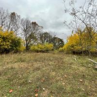 Camden County 87 Acres Hunters Paradise images 5