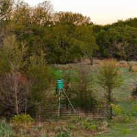 Hillside Ranch images 3