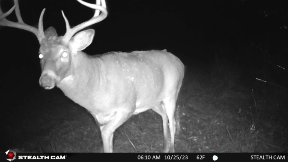 Hunting Camp with Land for Sale Near Castle Rock Lake featured image