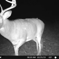 Hunting Camp with Land for Sale Near Castle Rock Lake