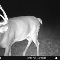 Hunting Camp with Land for Sale Near Castle Rock Lake images 2