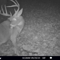 Hunting Camp with Land for Sale Near Castle Rock Lake images 3