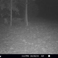 Hunting Camp with Land for Sale Near Castle Rock Lake images 4
