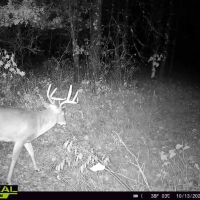 Hunting Camp with Land for Sale Near Castle Rock Lake images 5