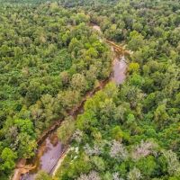 685 Acres Leaf Riverfront Land for Sale Covington Co. MS images 2