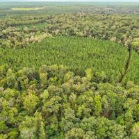 685 Acres Leaf Riverfront Land for Sale Covington Co. MS images 3