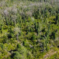 Creek Ridge images 2