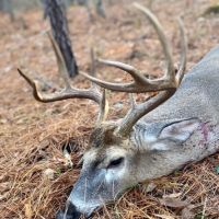 LA - Ouachita 42 acres -