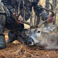 LA - Ouachita 42 acres - images 2