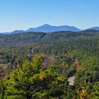 Ausable Timberlands