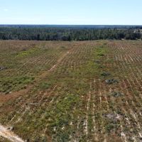 Timber Hill images 2