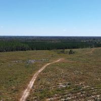 Timber Hill images 3