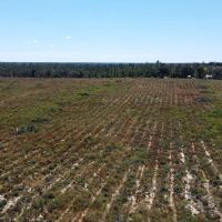 Timber Hill images 4