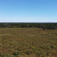 Timber Hill images 5