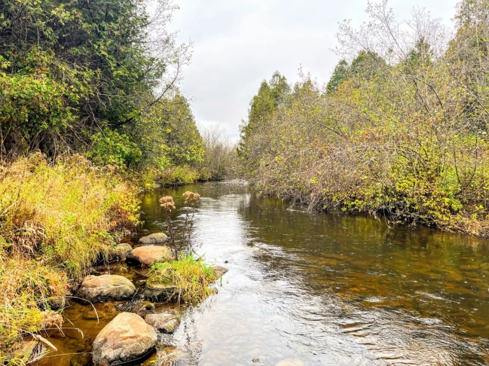 145 acres Hunting Land with Cabin Stockholm NY featured image