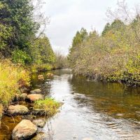 145 acres Hunting Land with Cabin Stockholm NY