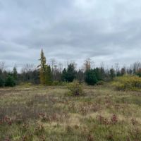 145 acres Hunting Land with Cabin Stockholm NY images 3