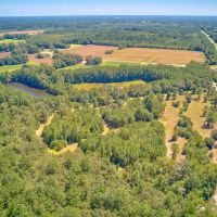 10.69 acres of Residential and and Recreational Land For Sale in Bladen County NC images 4