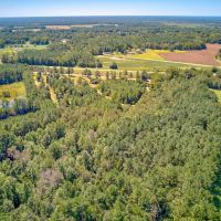 10.69 acres of Residential and and Recreational Land For Sale in Bladen County NC images 5