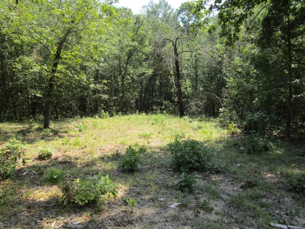 Tram Road Hunting Land Fort Towson Choctaw County OK 29 Acres featured image