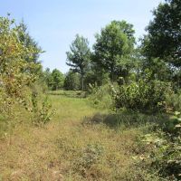 Tram Road Hunting Land Fort Towson Choctaw County OK 29 Acres images 2