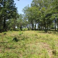 Tram Road Hunting Land Fort Towson Choctaw County OK 29 Acres images 3