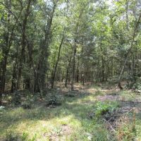 Tram Road Hunting Land Fort Towson Choctaw County OK 29 Acres images 4