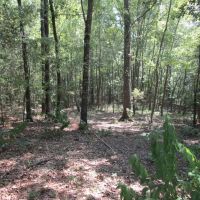 Tram Road Hunting Land Fort Towson Choctaw County OK 29 Acres images 5