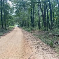 SHADE GROVE 20 images 3