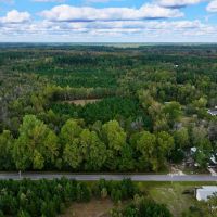 3.95 acres of Residential Timberland Land For Sale in Pitt County NC images 2