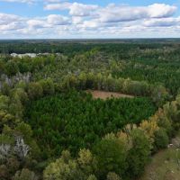 3.95 acres of Residential Timberland Land For Sale in Pitt County NC images 4