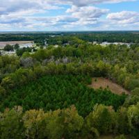 3.95 acres of Residential Timberland Land For Sale in Pitt County NC images 5