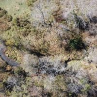 127 rural acres - with live water pasture and woods for sale in Ripley County MO images 3