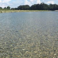 Nueces river frontage, huge pecan trees, 100 year old oaks, brush country, natural springs