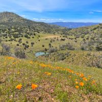 The Adobe Valley Ranch
