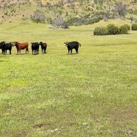 The Adobe Valley Ranch images 2