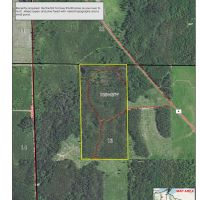 8415 ceres timber tract lease