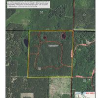 8417 ceres timber tract lease