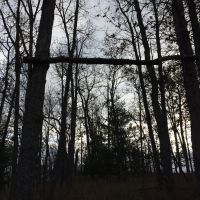 36 acres private property fully wooded small water hole in the back of property
