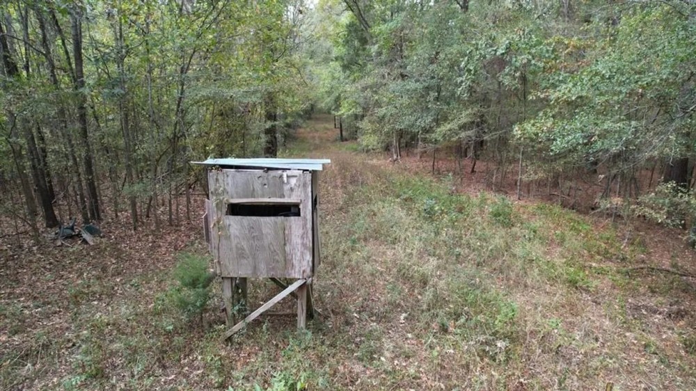 Hunting Land for Sale in Adams County Mississippi featured image
