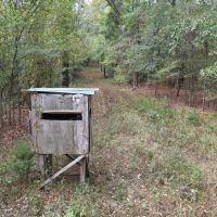 Hunting Land for Sale in Adams County Mississippi