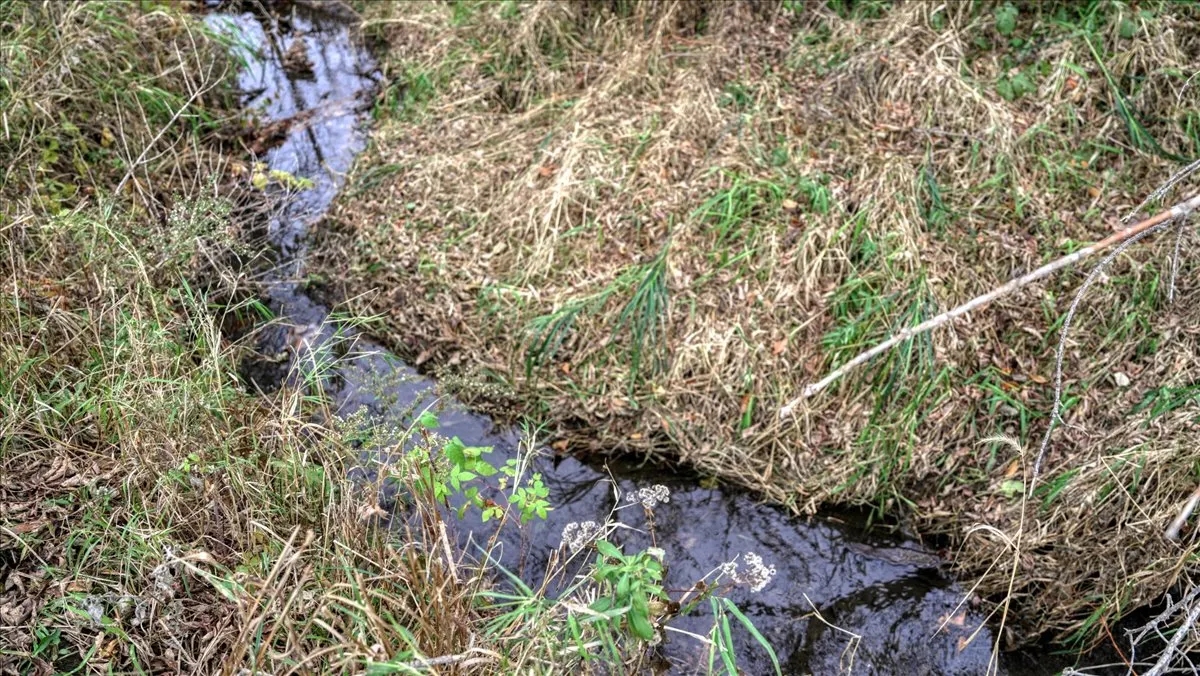 35 acres of land located in La Crosse County WI Hunting Land for