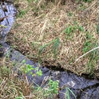 35 - acres of land located in La Crosse County WI