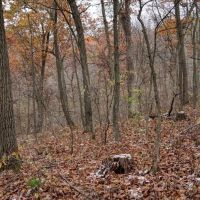 35 - acres of land located in La Crosse County WI images 3