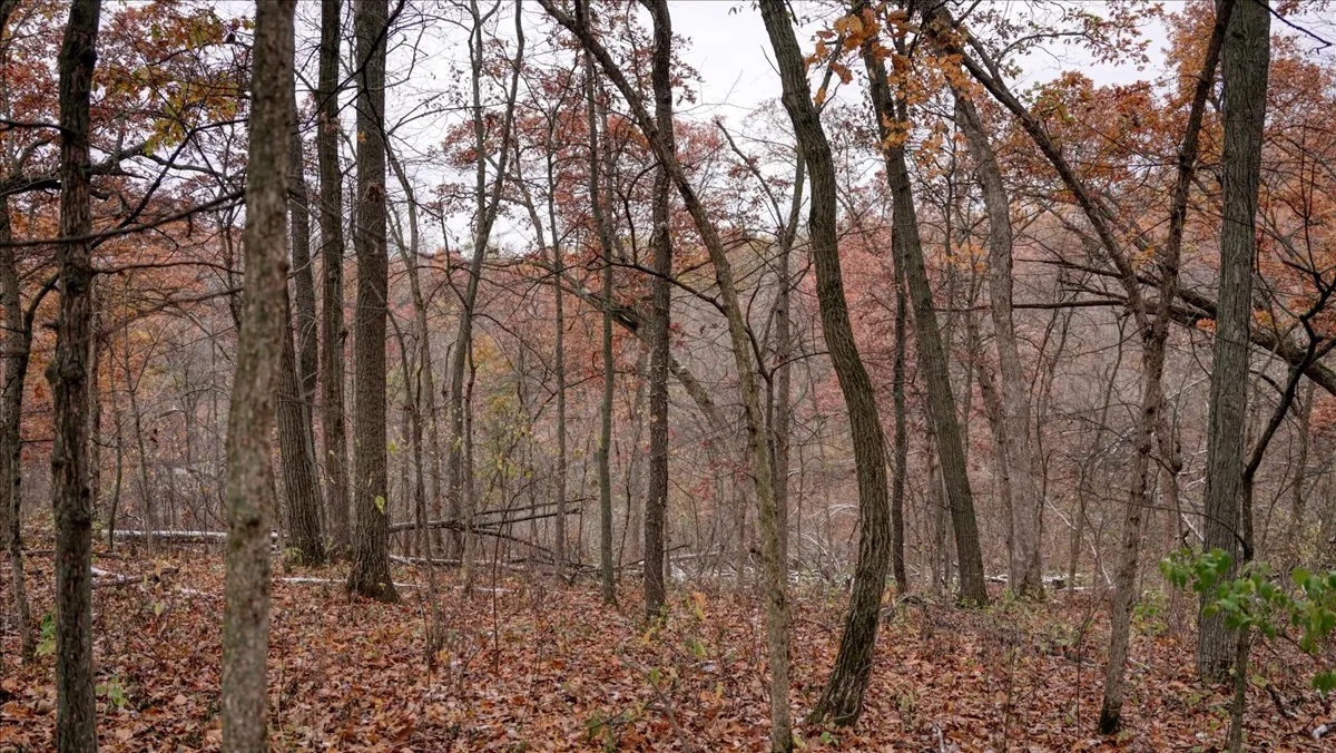 35 acres of land located in La Crosse County WI Hunting Land for