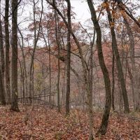 35 - acres of land located in La Crosse County WI images 4