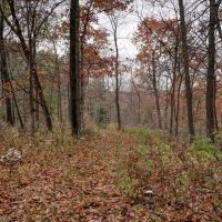 35 - acres of land located in La Crosse County WI images 5