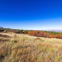 Mountain Meadows Ranch images 4